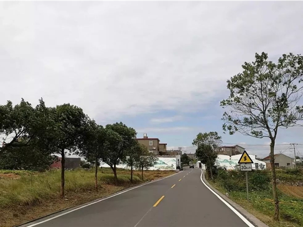 椒江杭州市政道路施工时间段深度剖析：平衡建设与城市生活